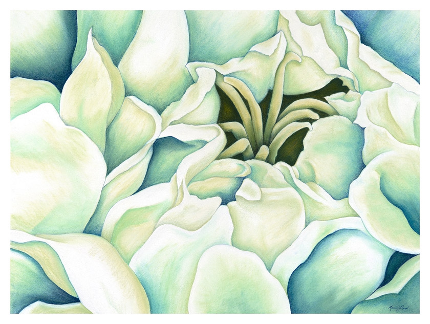 Awakening by Marcia J Popp