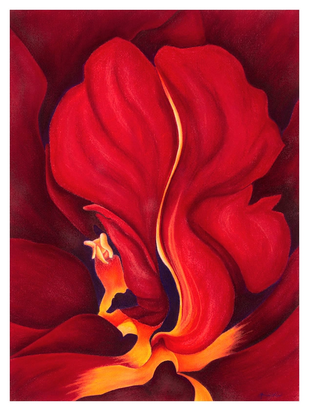 Firebird by Marcia J Popp