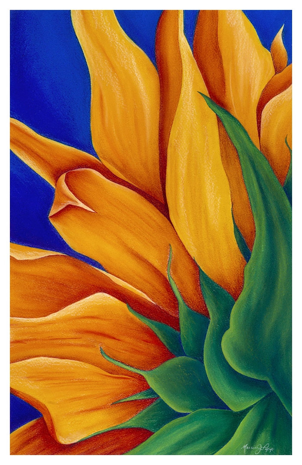 You Are My Sunshine by Marcia J Popp