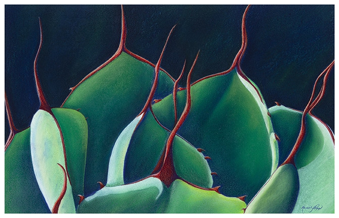 Crown of Thorns by Marcia J Popp