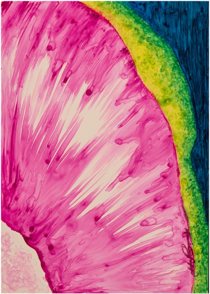 Watermelon Daikon by Marcia J Popp