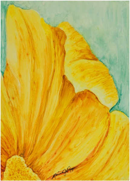 Golden Rose by Marcia J Popp