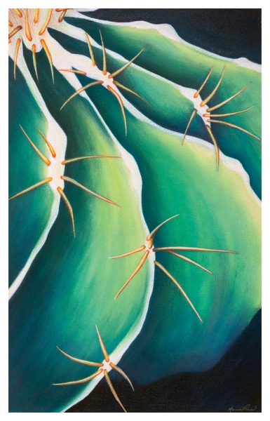 Ribs and Spines by Marcia J Popp