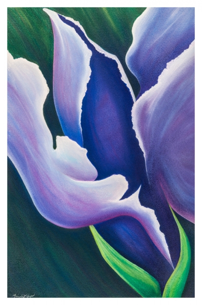 Dutch Blue by Marcia J Popp