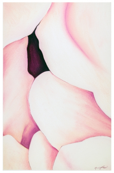 Spring White by Marcia J Popp