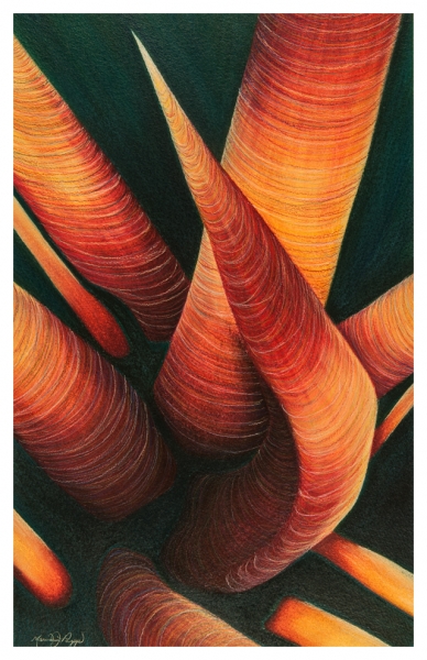 Red Spines by Marcia J Popp