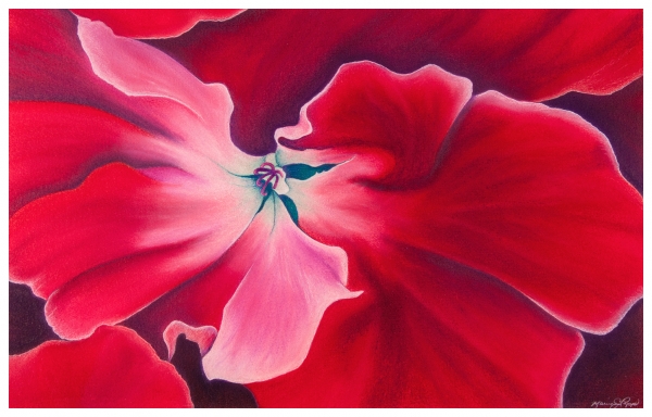 Fiery Geranium by Marcia J Popp