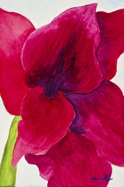 Click here to view Small Works and Studies artwork by Marcia J Popp