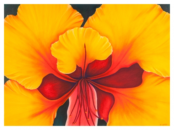 Paradise by Marcia J Popp
