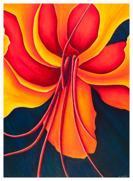 Paradise Red by Marcia J Popp