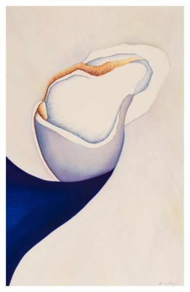 Nautilus IV by Marcia J Popp