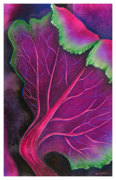 Purple Kale by Marcia J Popp