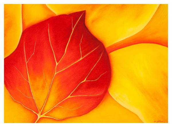 Aspen by Marcia J Popp