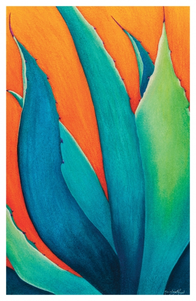 Century Blue by Marcia J Popp