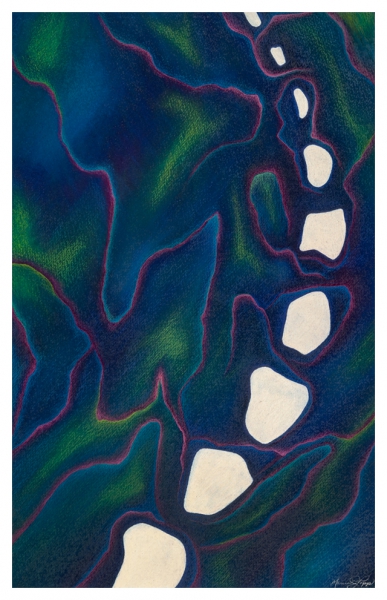 Paua by Marcia J Popp