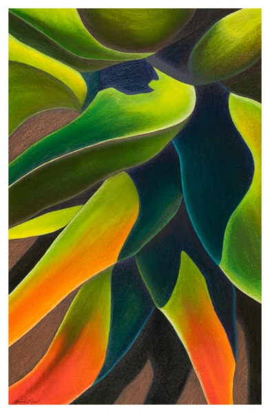 Sunset Agave by Marcia J Popp
