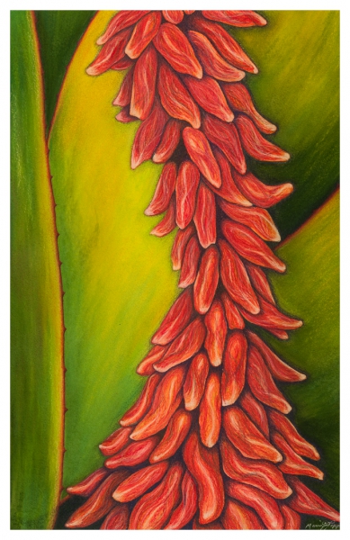 Fiery by Marcia J Popp