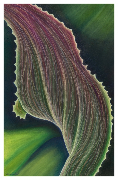 Twist by Marcia J Popp