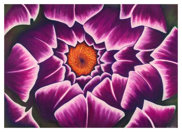 Cynara by Marcia J Popp