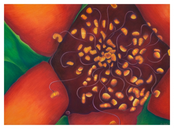 Heart of Gold by Marcia J Popp