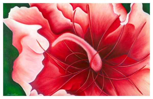 Tickled Pink by Marcia J Popp