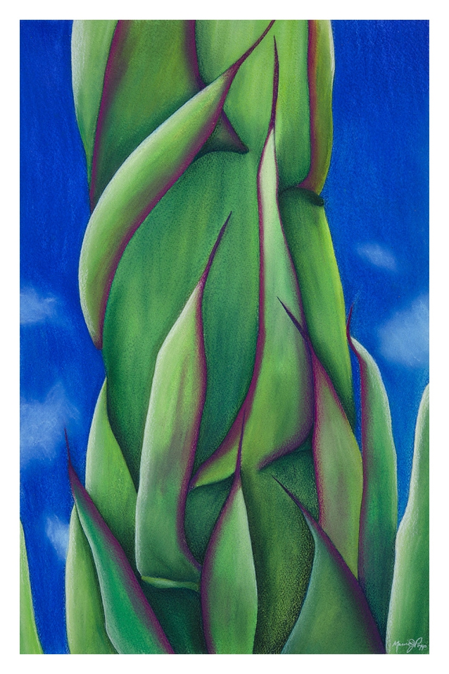 UP by Marcia J Popp
