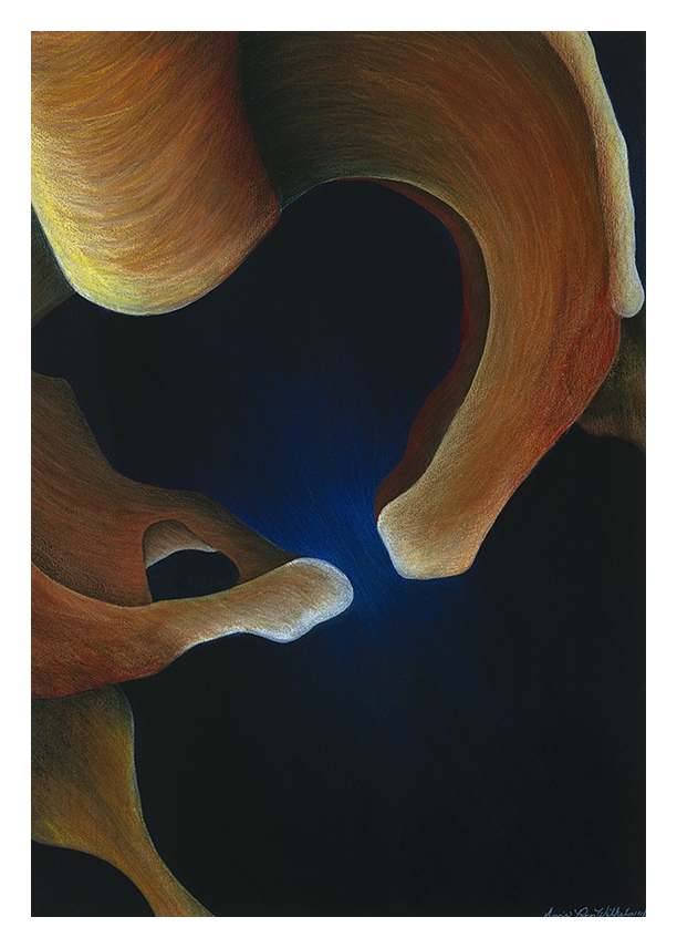 Pelvic Ring by Marcia J Popp