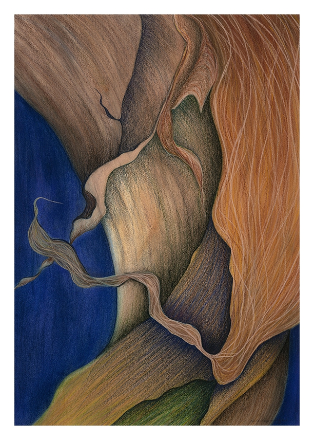 Onion Skin by Marcia J Popp