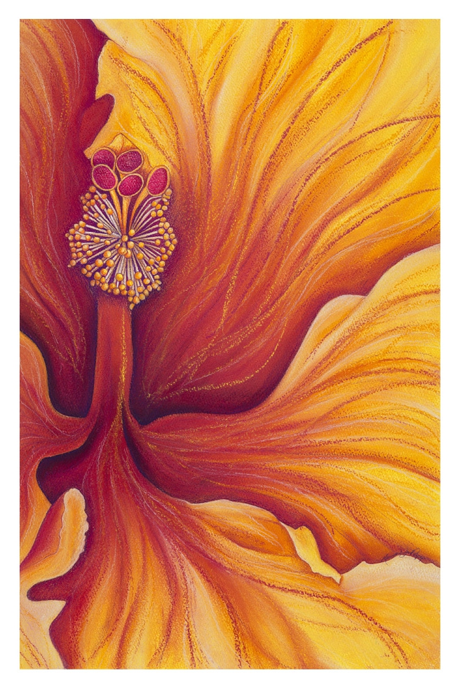 Fuego by Marcia J Popp