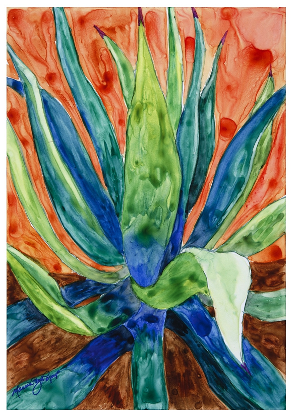Blue Agave by Marcia J Popp