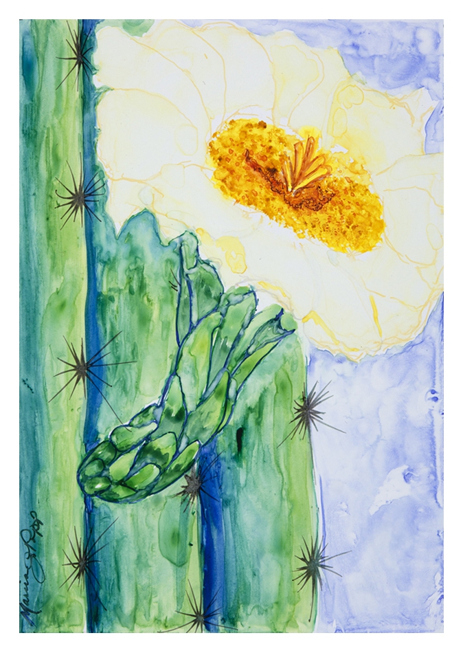 May Blossom by Marcia J Popp