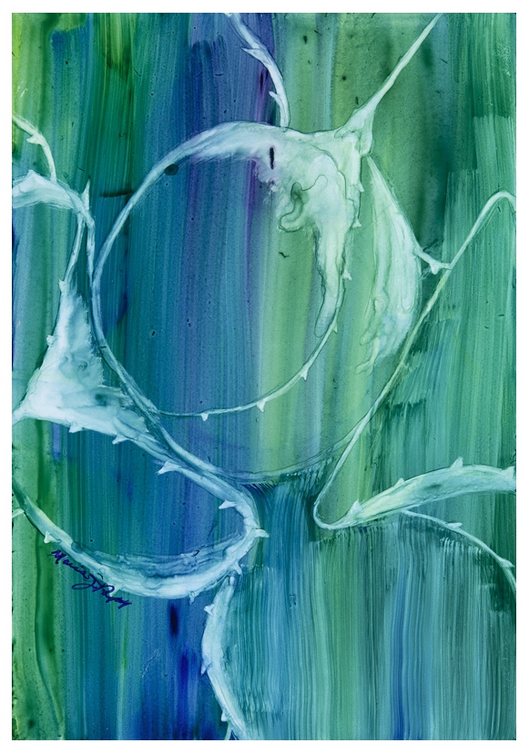 Agave Run by Marcia J Popp