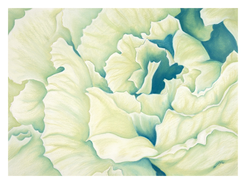 Brassica by Marcia J Popp