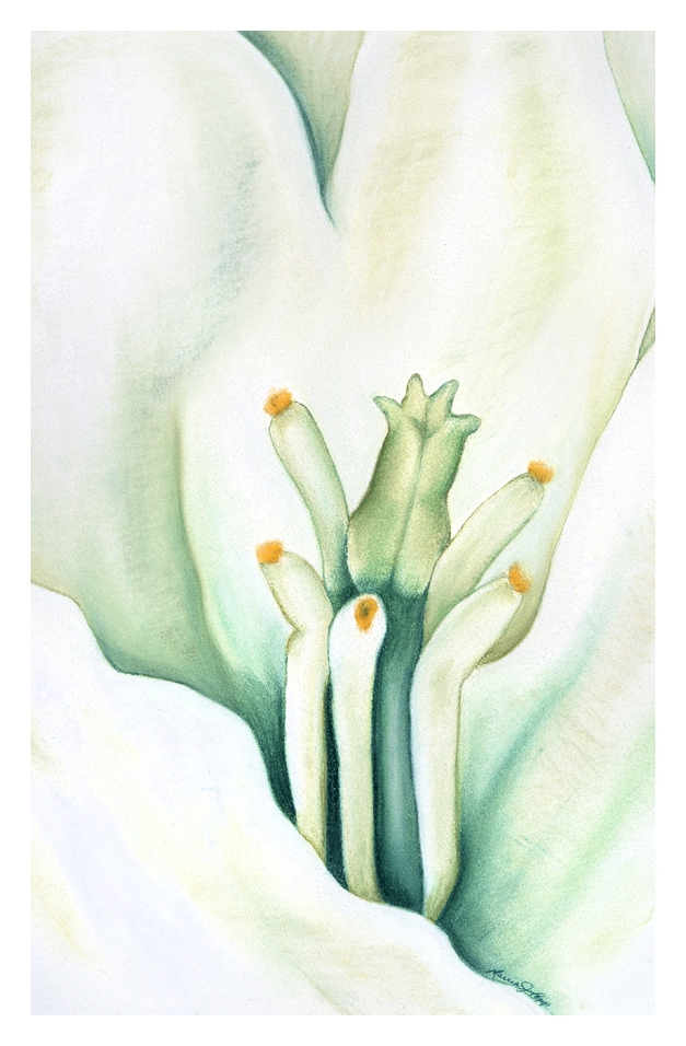 Panicle Pulpit by Marcia J Popp