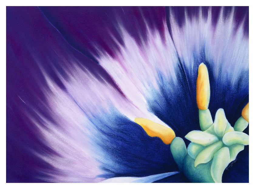 Click here to view Radiance by Marcia J Popp
