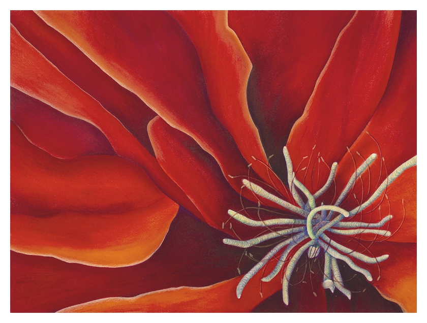 Fiery Extraterrestrial by Marcia J Popp