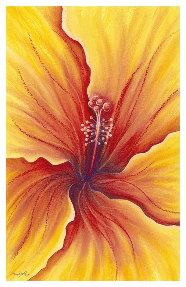 Flamenco by Marcia J Popp