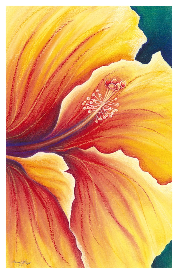 Salsa by Marcia J Popp