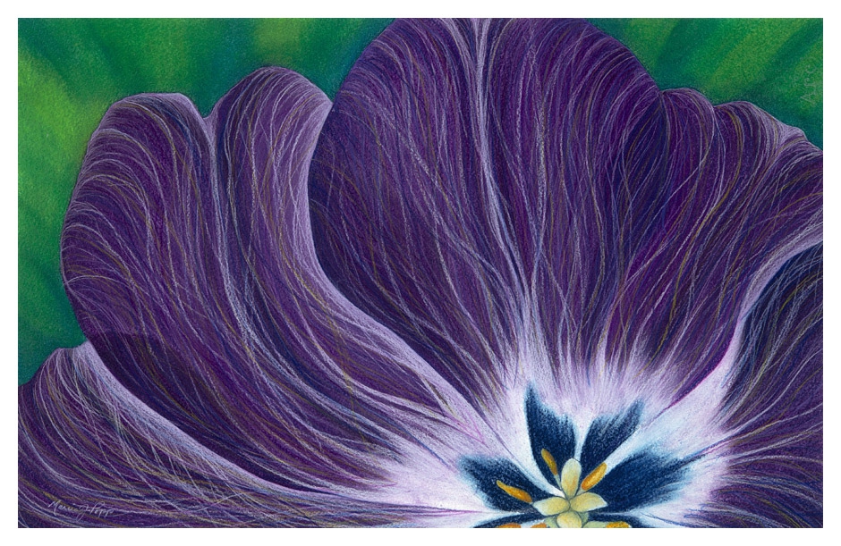 Grace by Marcia J Popp