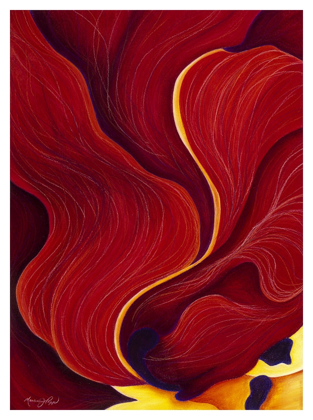 Phoenix by Marcia J Popp