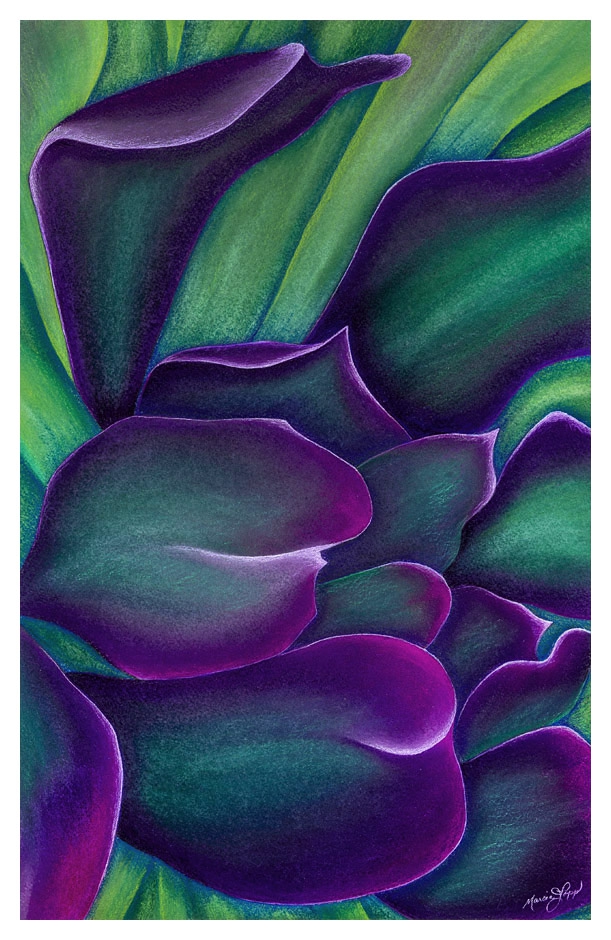 Click here to view Black Heart by Marcia J Popp