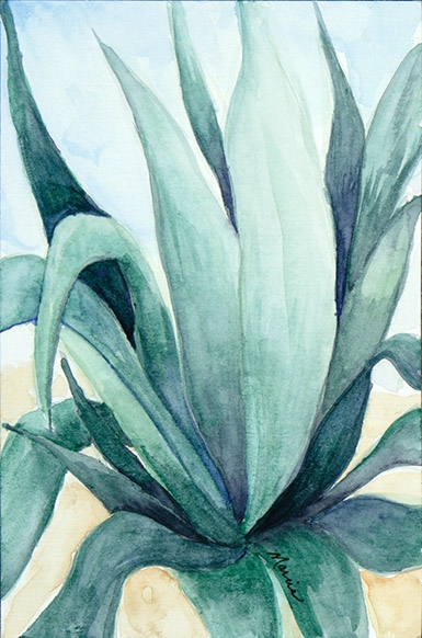 Agave Blues by Marcia J Popp