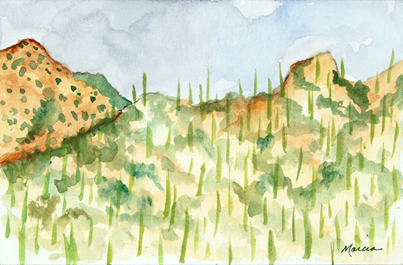 Catalina Storm by Marcia J Popp