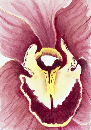 Open Wide by Marcia J Popp