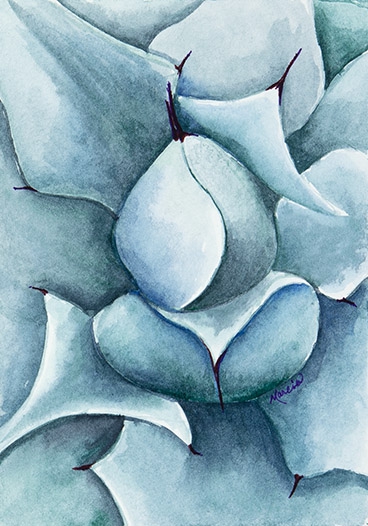 Silver Desert Rose by Marcia J Popp