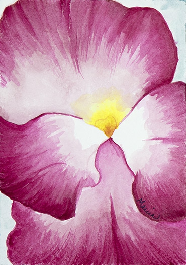 Pink Pansy by Marcia J Popp