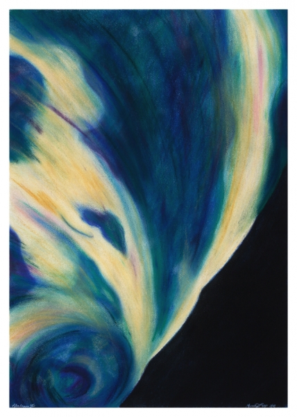 Abalone II by Marcia J Popp