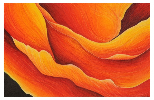 Red Canyon by Marcia J Popp