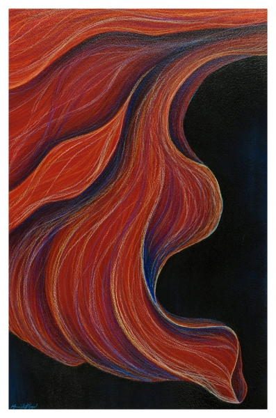 Red Petal by Marcia J Popp