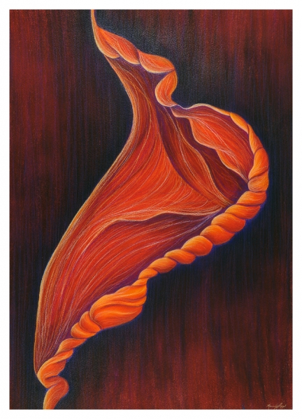 Red Amaryllis Bud by Marcia J Popp